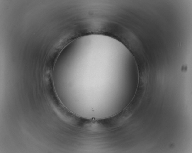 X0000113360503200909221203