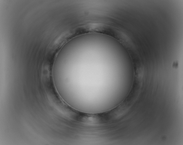X0000113360506200909221202