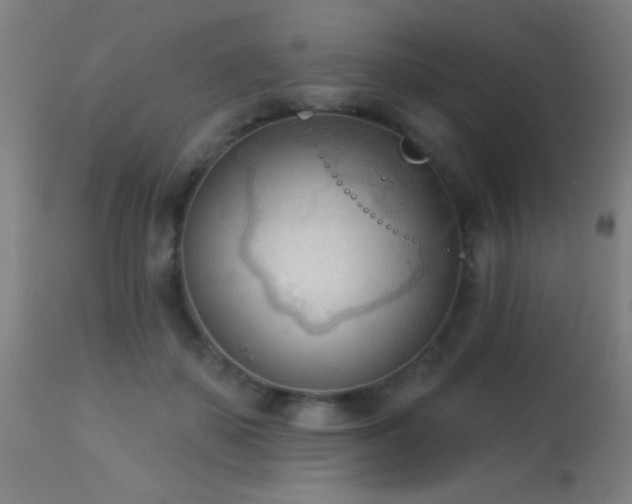 X0000113360507200909221202