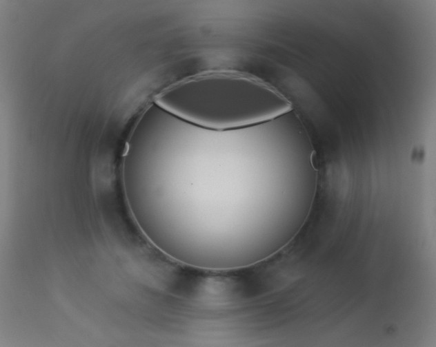 X0000113360508200909221202