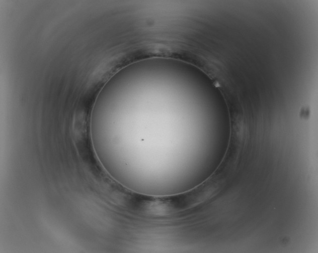 X0000113360511200909221202