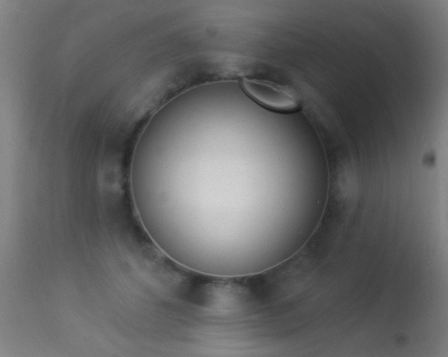 X0000113360512200909221202