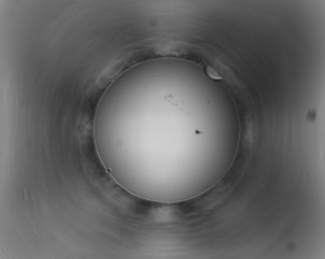X0000113360513200909221202