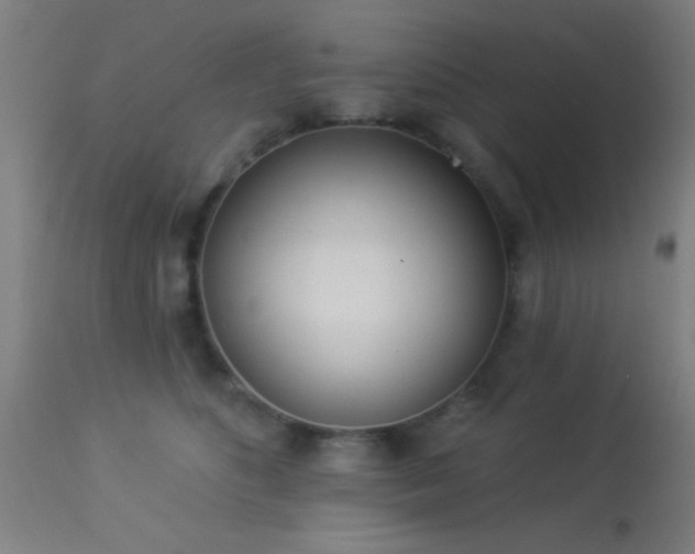 X0000113360516200909221202