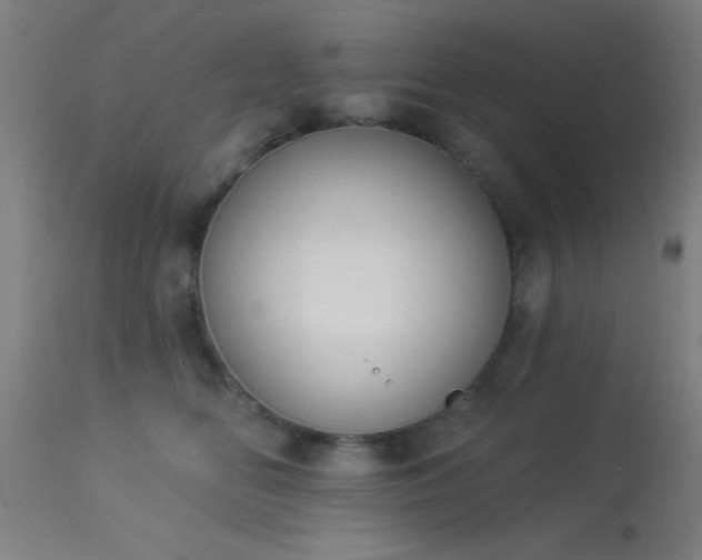 X0000113360518200909221202