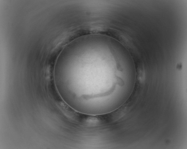 X0000113360519200909221202