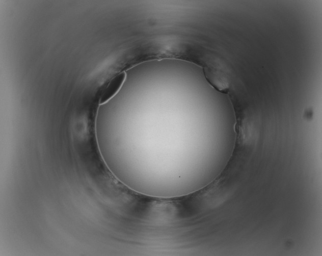 X0000113360520200909221202