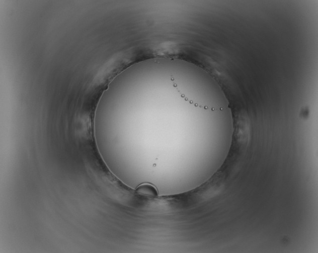 X0000113360523200909221202