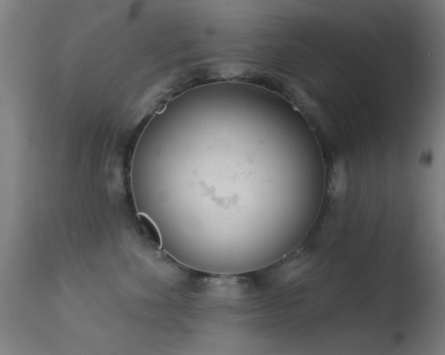 X0000113360524200909221202
