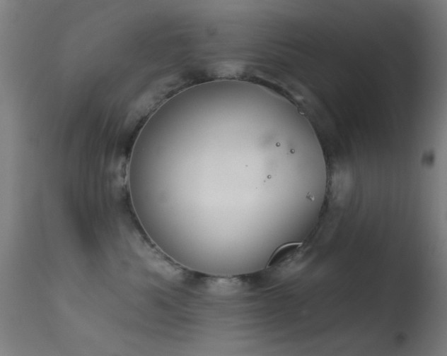 X0000113360525200909221202