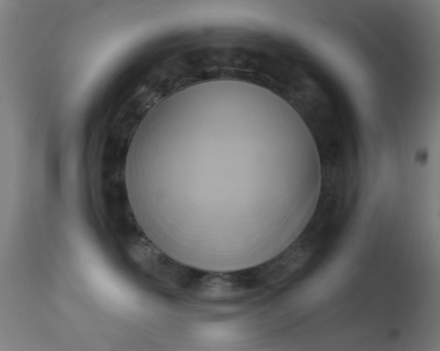 X0000113360526200909221202