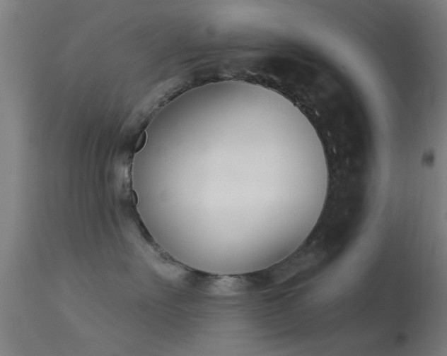 X0000113360527200909221202
