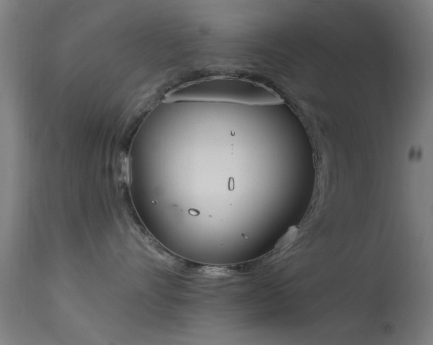 X0000113360528200909221202