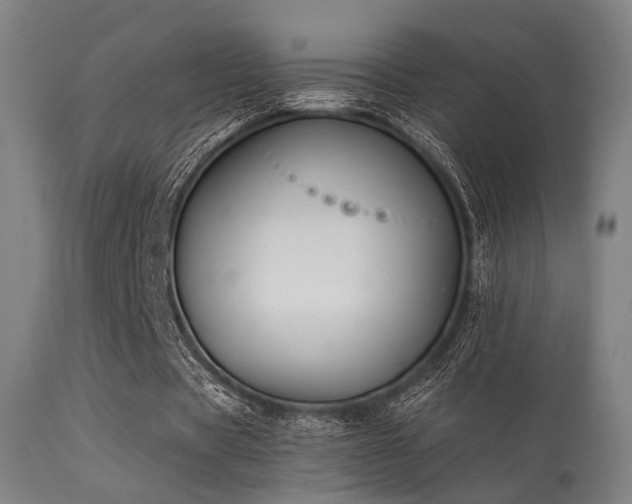 X0000113360529200909221201