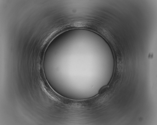X0000113360530200909221201