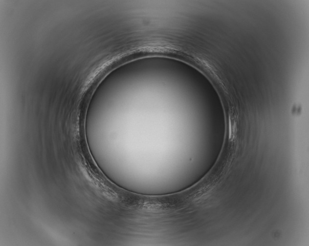 X0000113360531200909221201