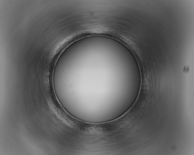 X0000113360535200909221201
