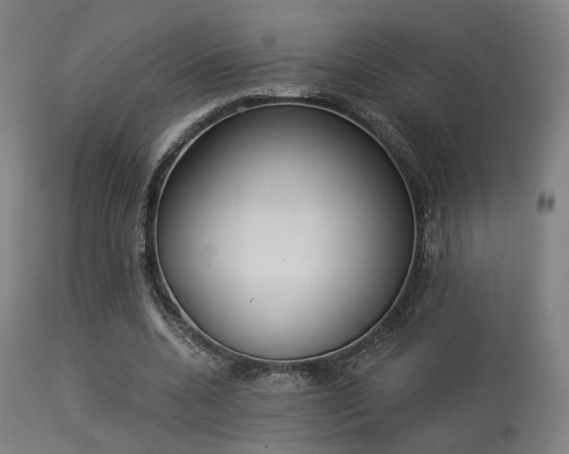 X0000113360536200909221201
