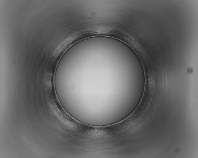 X0000113360537200909221201