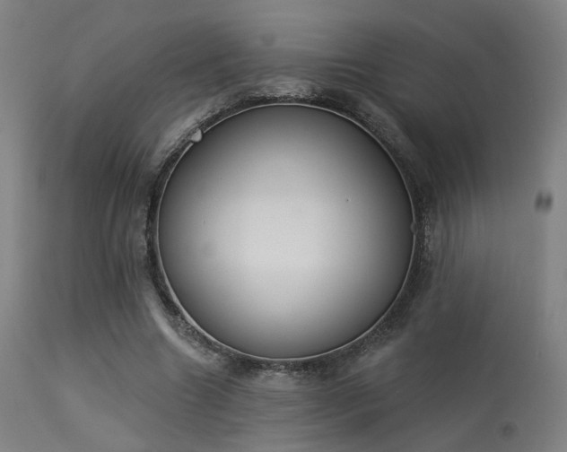 X0000113360538200909221201