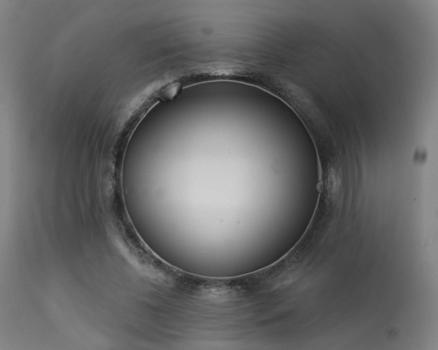 X0000113360540200909221202