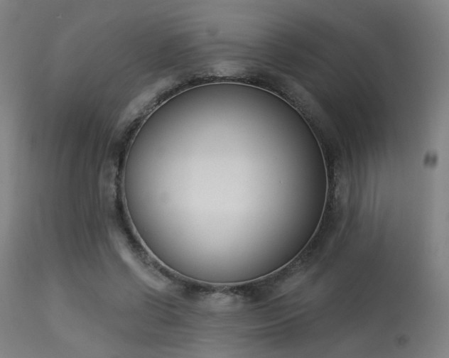 X0000113360542200909221202
