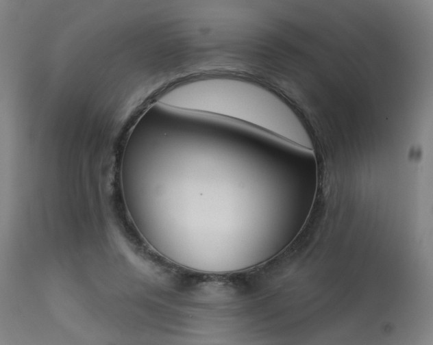 X0000113360544200909221202