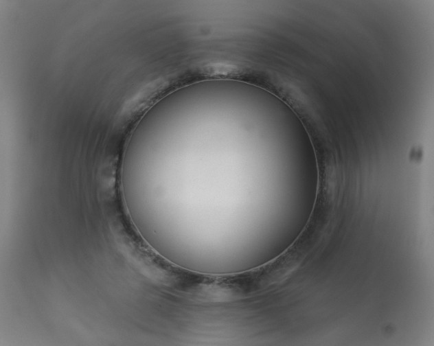 X0000113360545200909221202