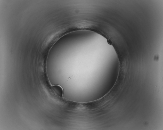 X0000113360547200909221202