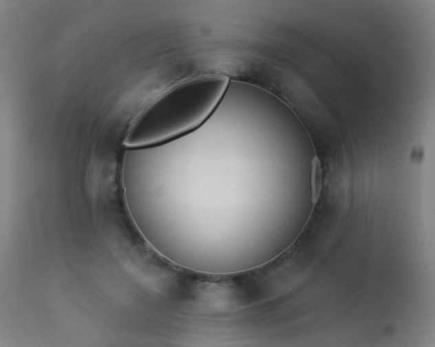 X0000113360548200909221202