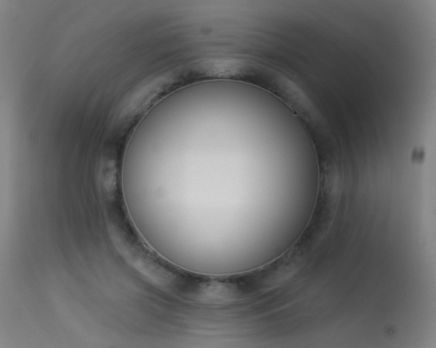 X0000113360549200909221202