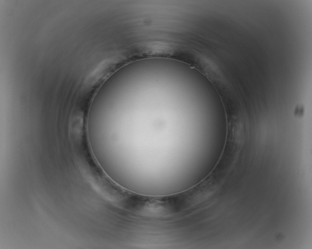 X0000113360550200909221202