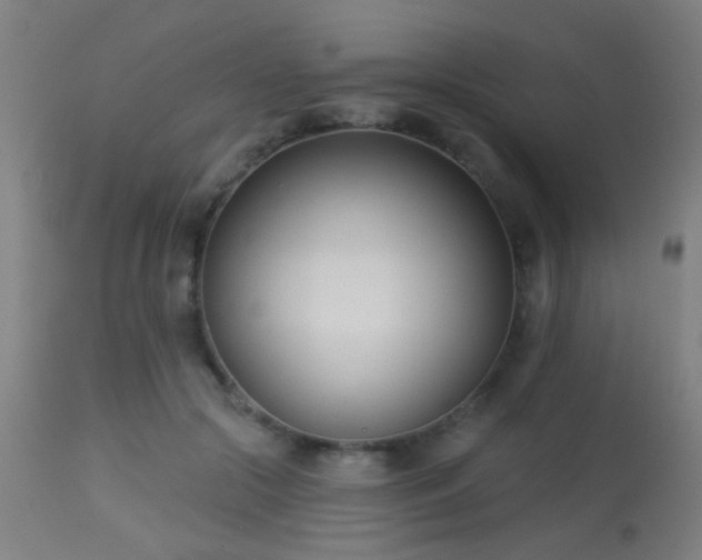 X0000113360553200909221202