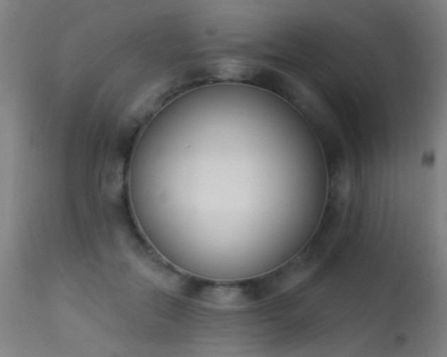 X0000113360554200909221202