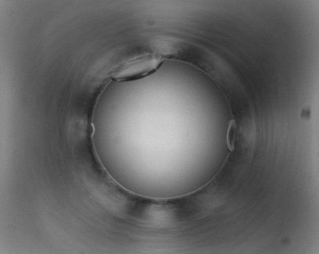 X0000113360556200909221202