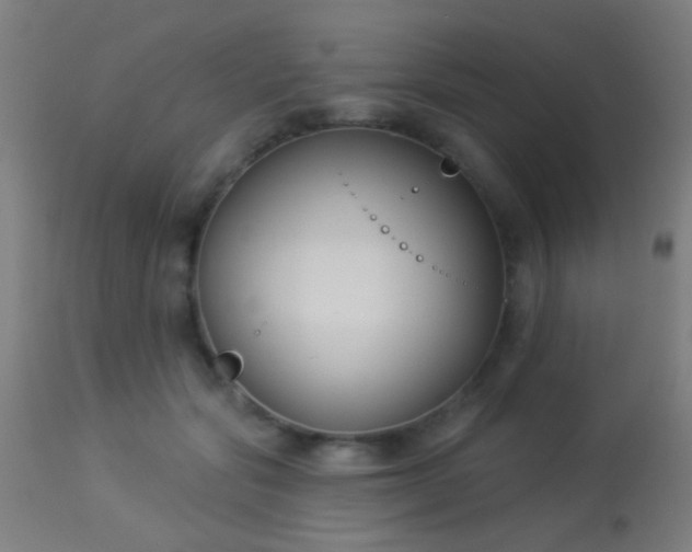 X0000113360557200909221202
