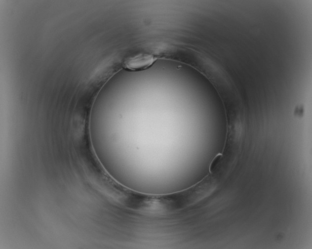 X0000113360558200909221202