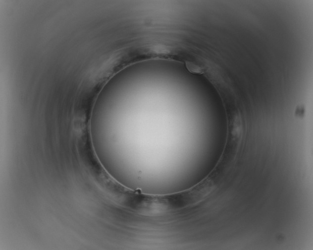 X0000113360559200909221202