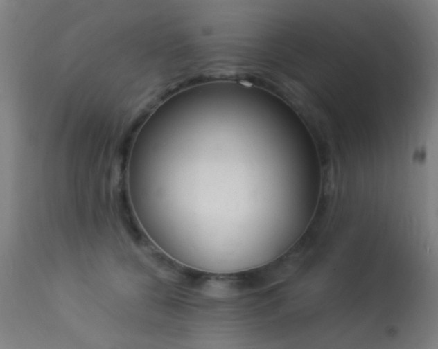 X0000113360560200909221202