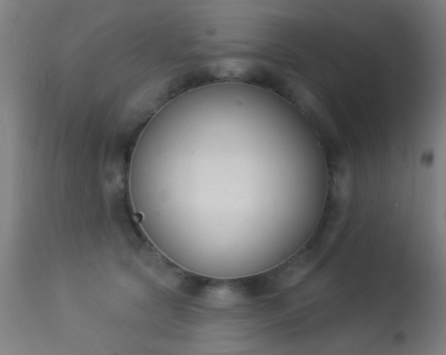 X0000113360561200909221202