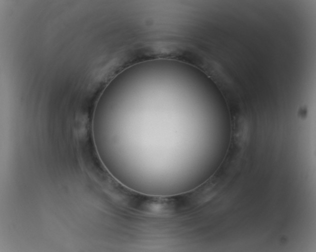 X0000113360563200909221202