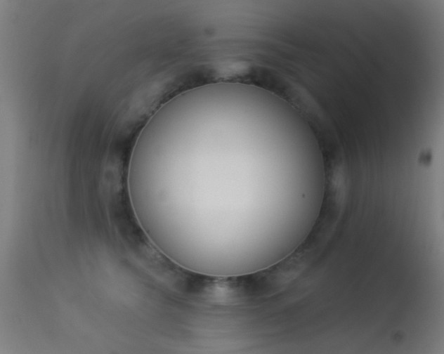 X0000113360565200909221202