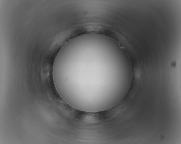 X0000113360567200909221202