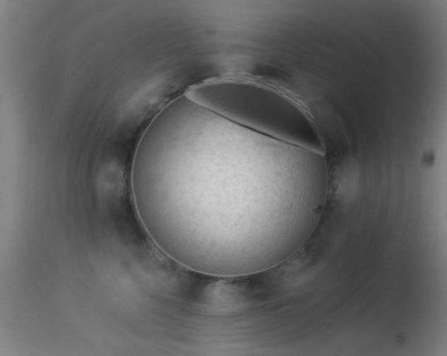 X0000113360568200909221202