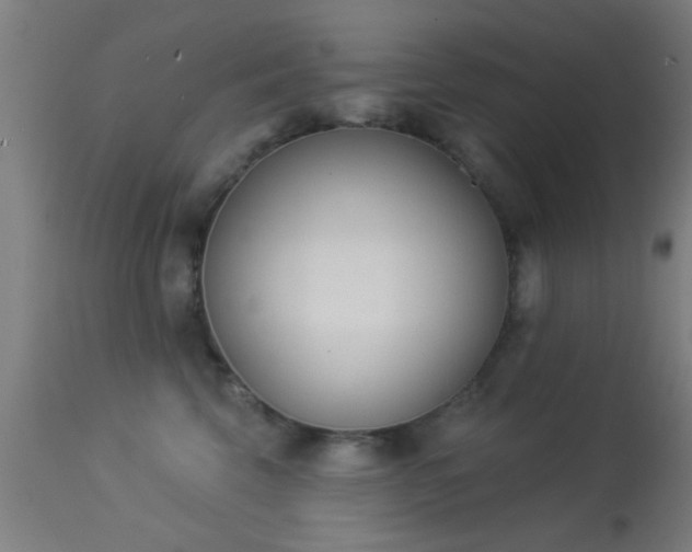 X0000113360569200909221202