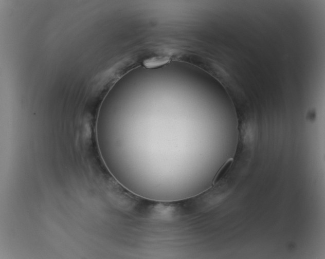 X0000113360570200909221202
