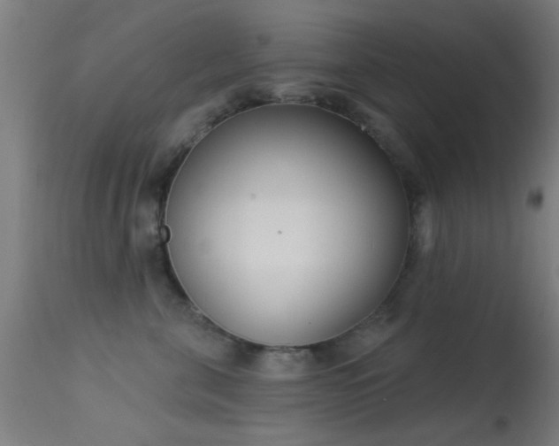 X0000113360571200909221202