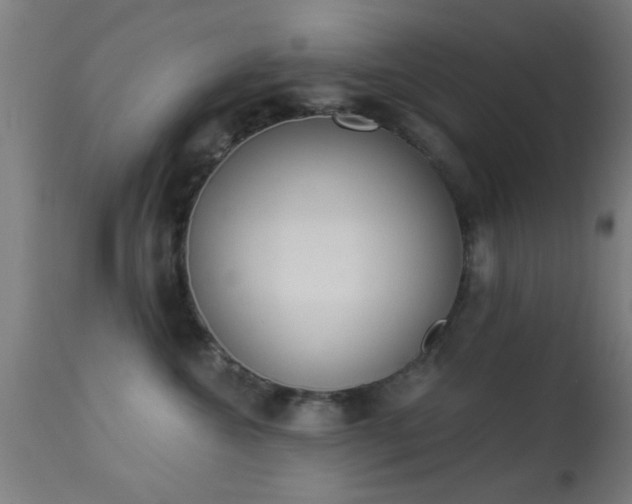 X0000113360572200909221202