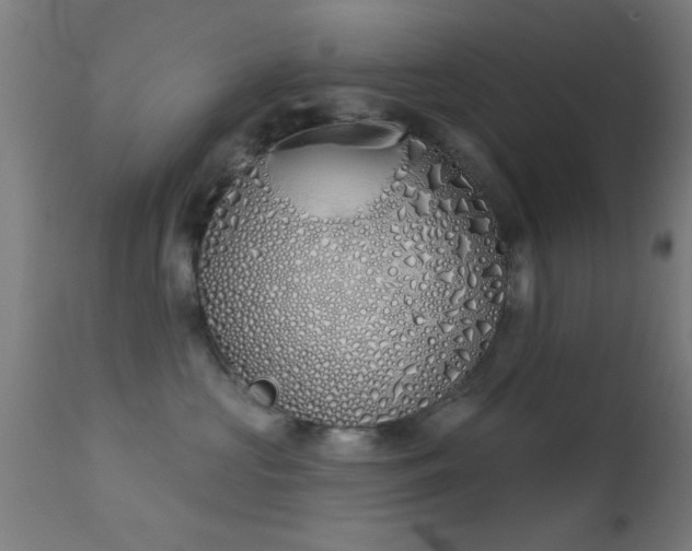 X0000113360573200909221202