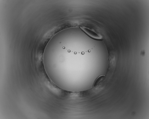 X0000113360574200909221202